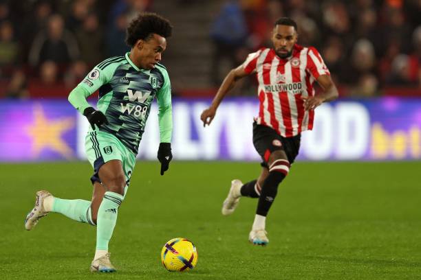 马的莱昂尼 马的莱昂尼